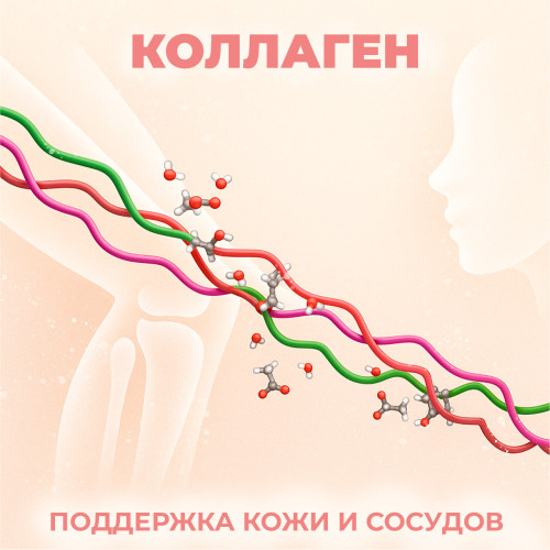 Коллаген: как главный белок поддерживает кожу и суставы