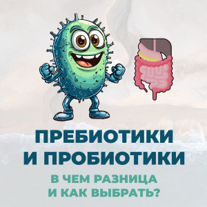 Пребиотики и пробиотики: В чем разница и как выбрать?