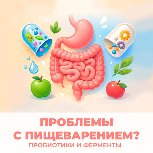 Проблемы с пищеварением: Роль пробиотиков и ферментов в здоровье ЖКТ