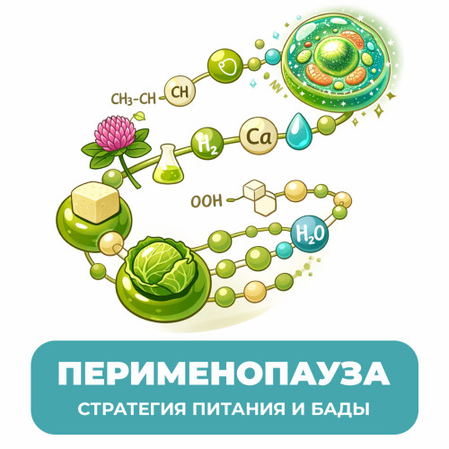 Перименопауза: Стратегия питания и БАДы (фитоэстрогены, DIM) до наступления климакса