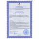КОРЕЙСКИЙ ЖЕНЬШЕНЬ® Иммунитет и работоспособность, 100 капс.